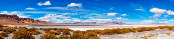 Landscape of Tara salar in Atacama region - panoramic view