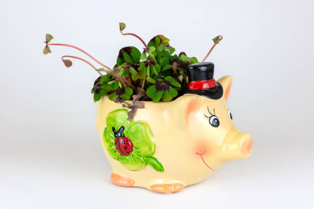 istock Lucky charm pig with four leaf clover 1089803892