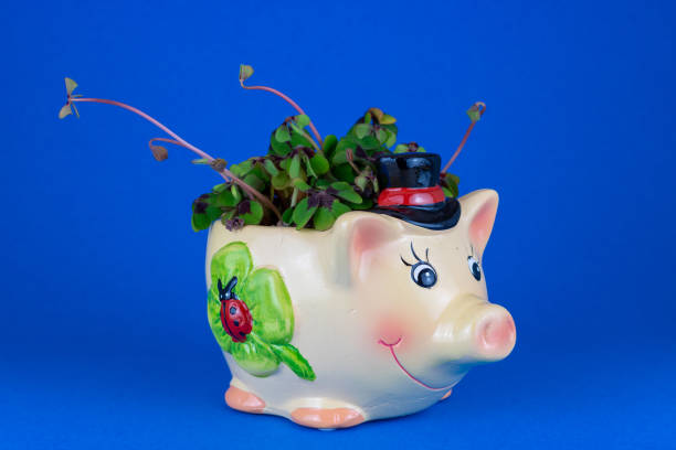 istock Lucky charm pig with four leaf clover 1089803894