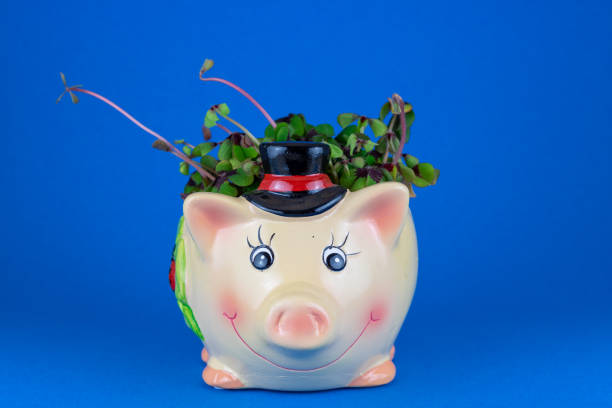istock Lucky charm pig with four leaf clover 1089804158