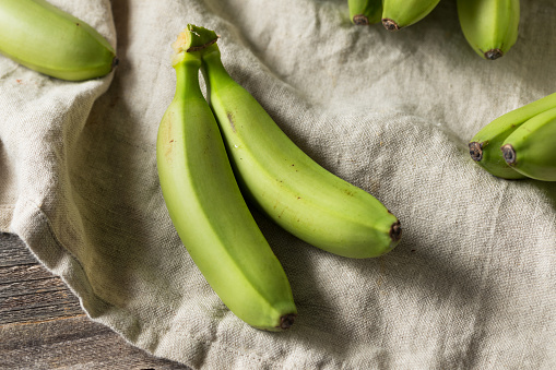 Raw Organic Unripe Green Baby Bananas in a Bunch