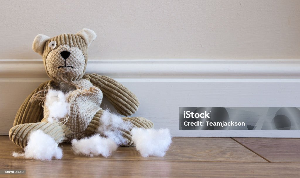 Abandoned And Damaged Teddy Bear Stock Photo - Download Image Now - Torn,  Stuffed Toy, Teddy Bear - iStock