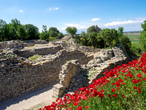 ruínas da antiga cidade de troia, canakkale (estreito de dardanelos) / turquia - çanakkale city - fotografias e filmes do acervo