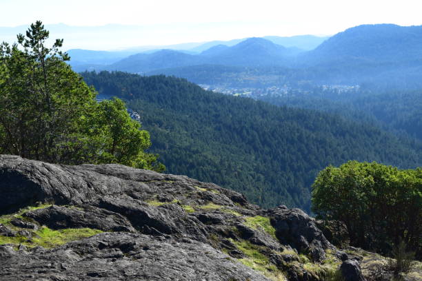 istock Mountains and forests of Goldstream park 1089821402