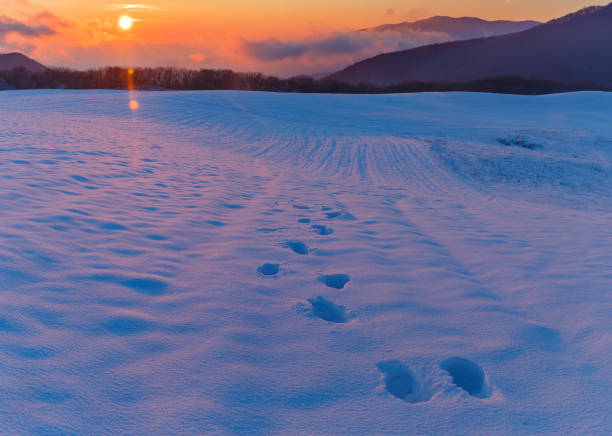 Frosty sunset in the mountains in winter