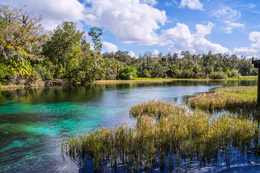 Archaeological evidence indicates that people have been using this spring for nearly 10,000 years. Rainbow Springs is Florida's fourth largest spring and, from the 1930s through the 1970s, was the site of a popular, privately-owned attraction. The Rainbow River is popular for swimming, snorkeling, canoeing, and 
kayaking.