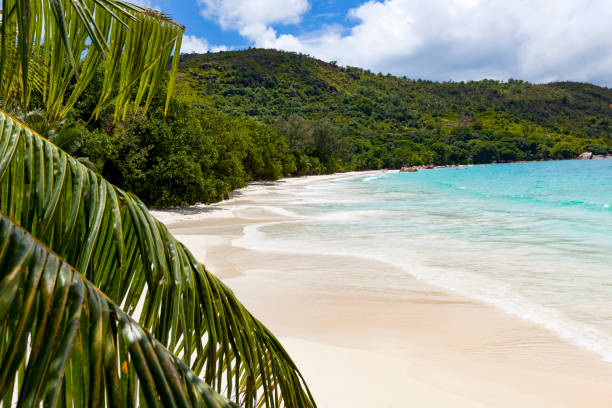 istock anse lazio dream beach on praslin island, seychelles 1089829606