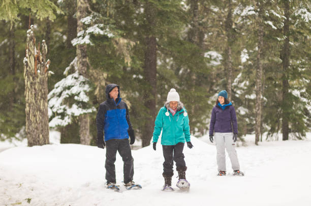 istock Snowshoeing in the forest 1089832208
