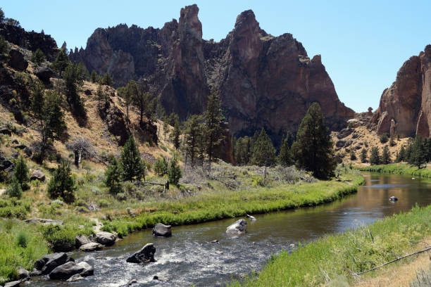 istock Rocky mountains with a river flowing though 1089833920