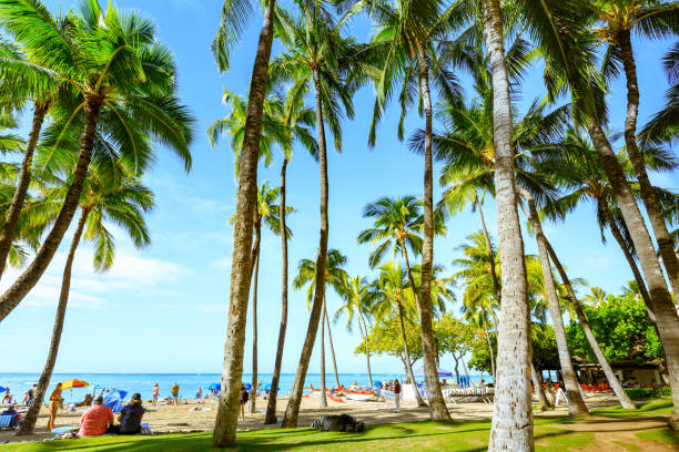 Honolulu, Hawaii - Dec 25, 2018 : Oahu Waikiki Beach, Honolulu