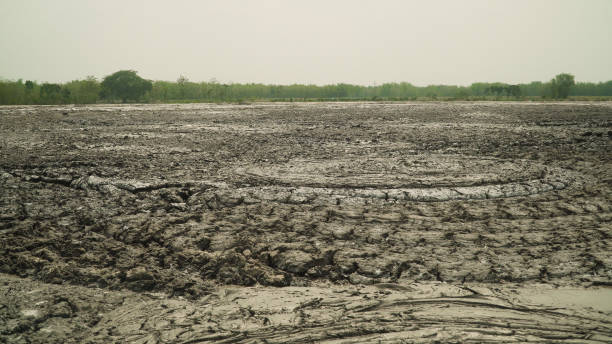 istock Mud volcano Bledug Kuwu, Indonesia 1089840184
