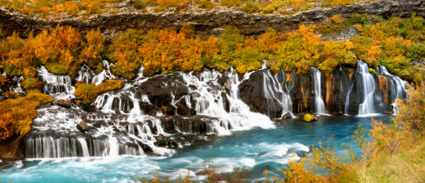 Panorama of Hraunfossar Waterfall Flowing into Hvita River, Borgarfjordur District, Iceland Lava falls located in West Iceland. Panoramic image stitched from 11 photos. hraunfossar stock pictures, royalty-free photos & images