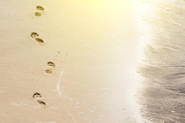 huellas en la arena cerca del mar, tonos - sand footprint track following fotografías e imágenes de stock