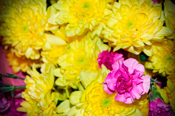 bouquet of yellow chrysanthemums and pink carnations
