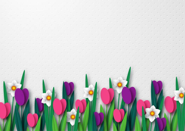 ilustrações, clipart, desenhos animados e ícones de modelo vazio de primavera para o projeto de férias sazonais. - leaf flower head bouquet daffodil