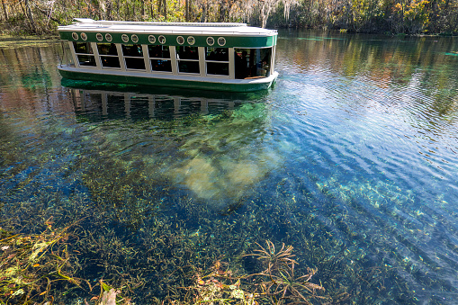 Silver Springs is one of Florida’s most treasured landscapes. As one of the largest artesian springs ever discovered, people have long been captured by the springs’ natural beauty and vibrant clarity. Ocala, Florida. Gulf Coast States.