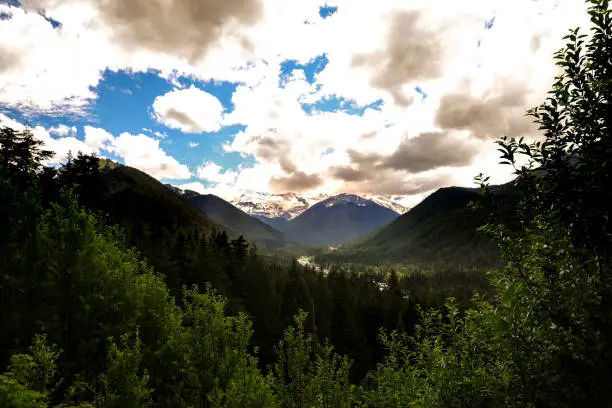 Taken on a scenic drive to Mount Rainier, Washington in July, 2018