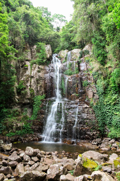 istock Tropical waterfall in Australia within green and vivid rainforest (Minnamurra Rainforest, Budderoo National Park, Australia) 1089874830