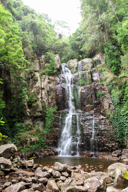 istock Tropical waterfall in Australia within green and vivid rainforest (Minnamurra Rainforest, Budderoo National Park, Australia) 1089876790