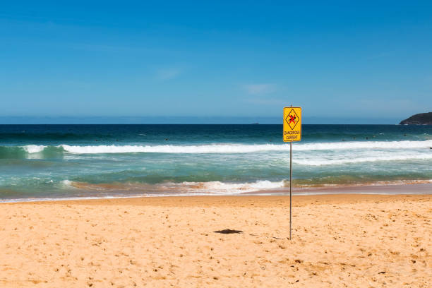 istock Typical Australian yellow dangerous current sign at an empty beach on a clear blue day with waves and white sand (Curl Curl Beach, Sydney, Australia) 1089883002