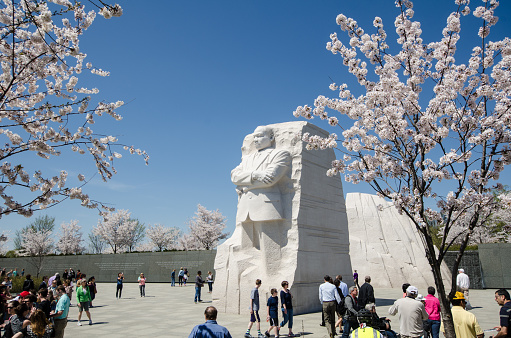 Washington, DC - April 4, 2018: Tourists crowds gather around the Martin Luther King Jr. Memorial during Cherry Blossom Festival to pay respects and view the monuments