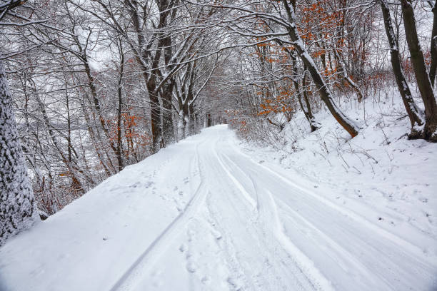 зимний парк, покрытый снегом - winterroad стоковые фото и изображения