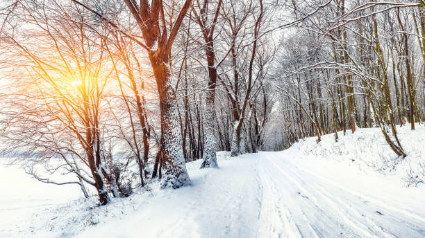 зимний парк, покрытый снегом - winterroad стоковые фото и изображения