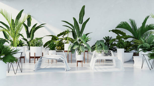 Botanical interior - Tropical design living room / 3D render image stock photo