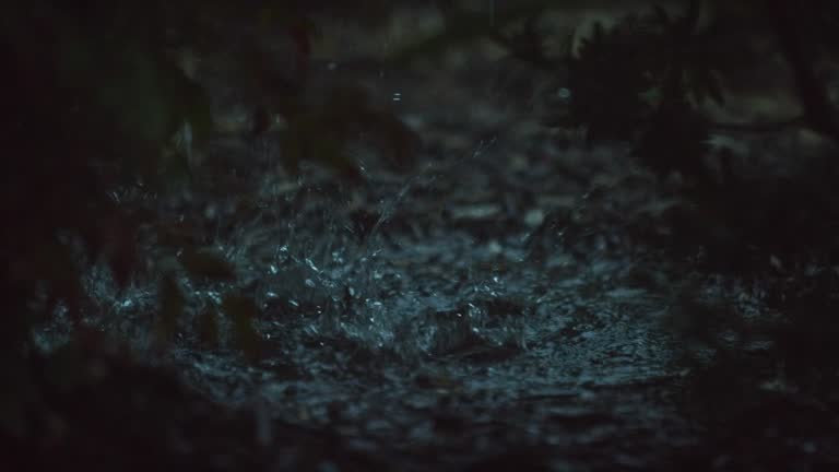 Tilting Down Shot of Raindrops Falling Past Plants and Splashing into a Puddle