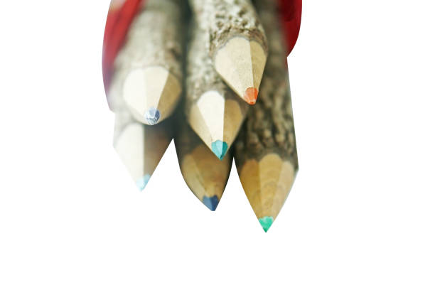 istock Isolated color pencils  made from bark of tree 1089935622