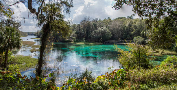 Ocala Florida Stock Photos, Pictures & Royalty-Free Images - iStock