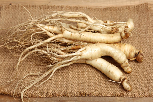istock Fresh Ginseng on the wooden background 1089939856