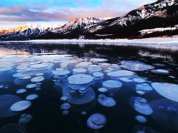 Photo of Ice bubbles at sunrise, Abraham Lake, Clearwater County, AB, Canada