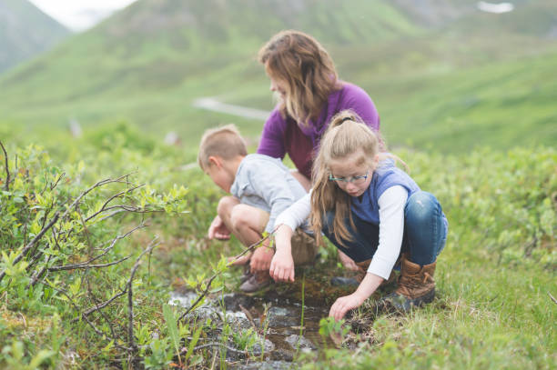 istock Mom looks for fish in a tiny Alaska stream with her two children 1089947014