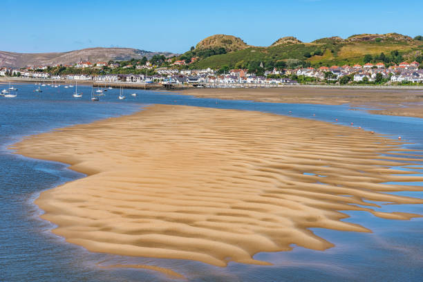 istock View of a sandy beach along the river 1089969496