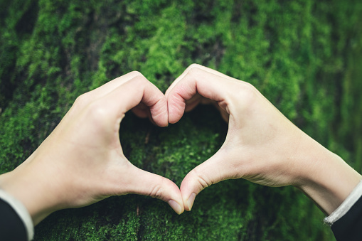 Fresh green moss in heart shape hover above grass field as valentine concept for love nature