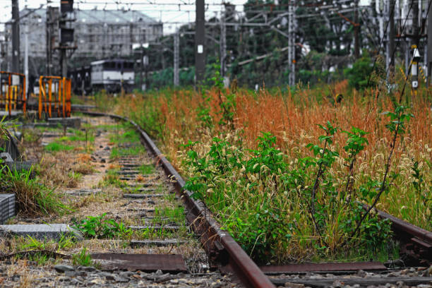 Landscape of the destination