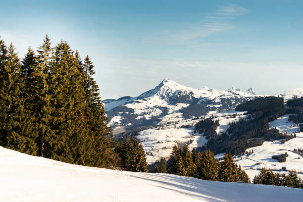 istock Scenery with green and white snow mountains in the alps. 1090020948