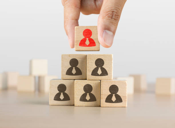 istock Hand arranging wooden blocks stacking as a pyramid staircase on white background. Leadership, Human resources management, recruitment or corporate hierarchy concept. 1090037390