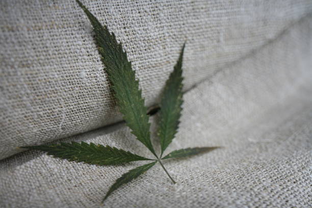 Fabric made from hemp rustic cannabis texture