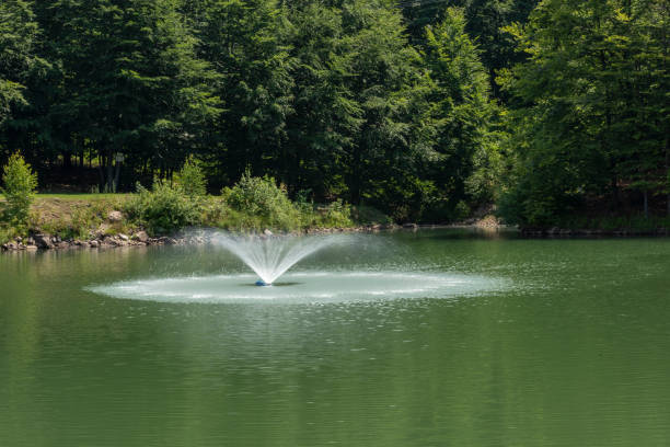istock Artificial lake and fountain near forest 1090062022