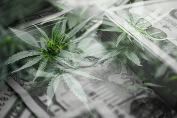 profitti dell'industria della marijuana - ten dollar bill dollar us currency usa foto e immagini stock
