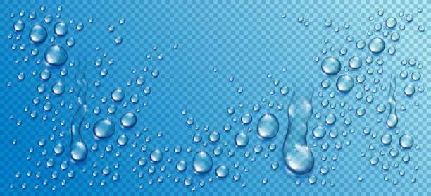 Vector illustration of Water rain drops or condensation in shower realistic transparent 3d vector composition over transparency checker grid, easy to put over any background or use droplets separately.