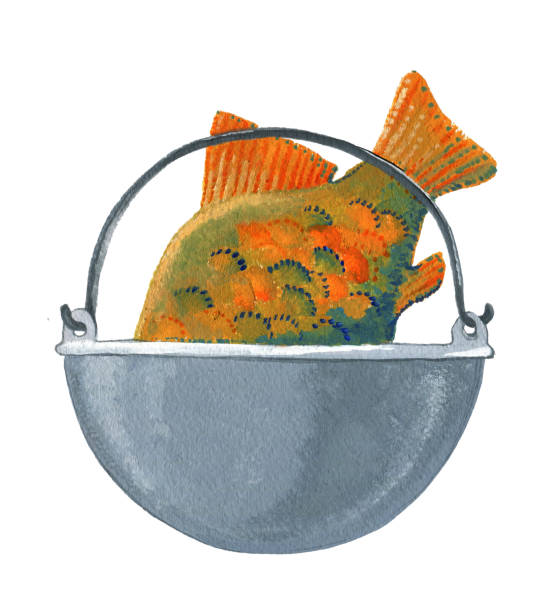 Catfish Cooking Vector 60+ Cooking Catfish Stock Illustrations, Royalty-Free Vector Graphics ...