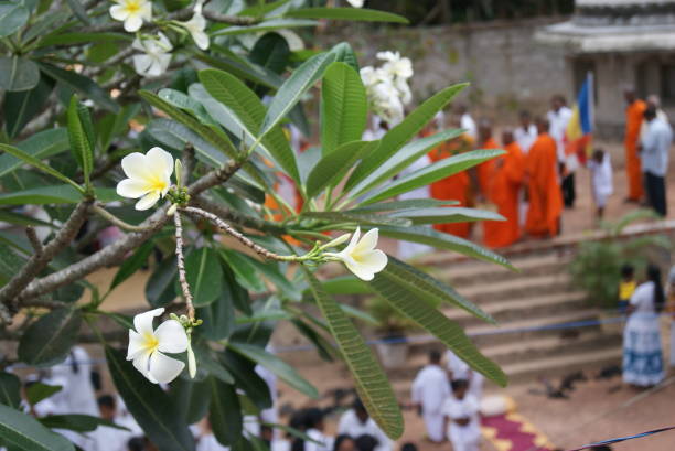 istock An old buddhist temple in Sri Lanka 1090078740