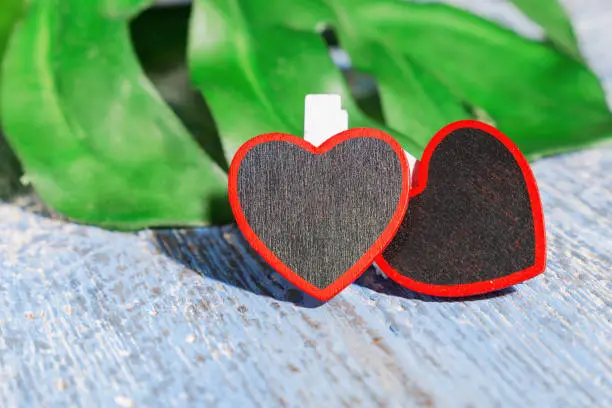 Valentine's Day background. Two hearts of a template on a blue wooden table against the background of a green leaf.