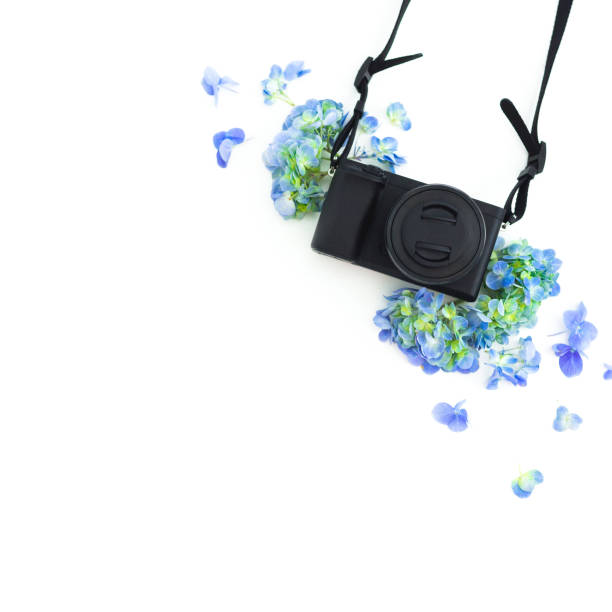 istock Concept with photo camera and hydrangea flowers on white background. Flat lay, top view. 1090083820