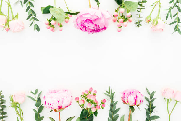 istock Floral frame of pink flowers, hypericum and eucalyptus on white background. Flat lay, top view 1090083890