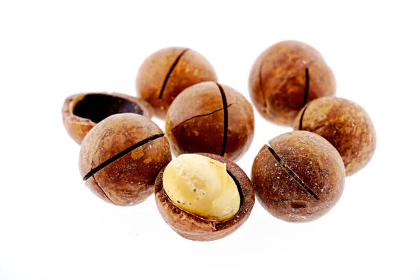 istock close up of organic macadamia nut on white background 1090084302