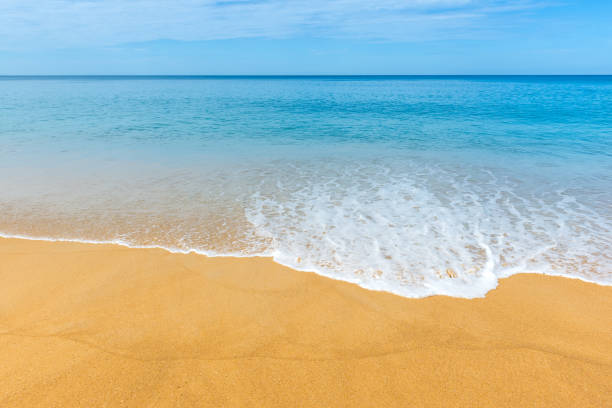 istock tropical beach in summer and sand sea sky 1090086766